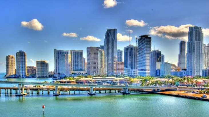 System Soft Technologies: Rebranding Florida For the Future